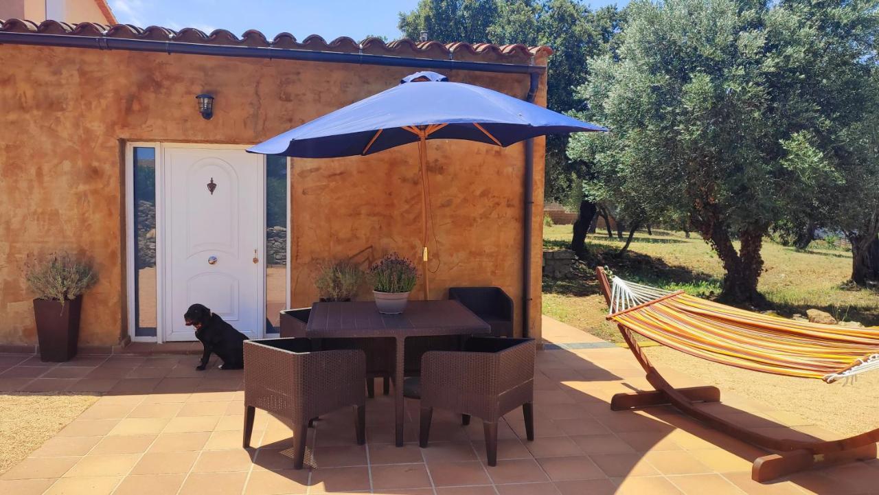 Can Costals Terraza Pals Ngoại thất bức ảnh